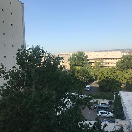 Pillango Parki Kis Lakas 15 Percre A Belvarostol Budapest Exterior photo